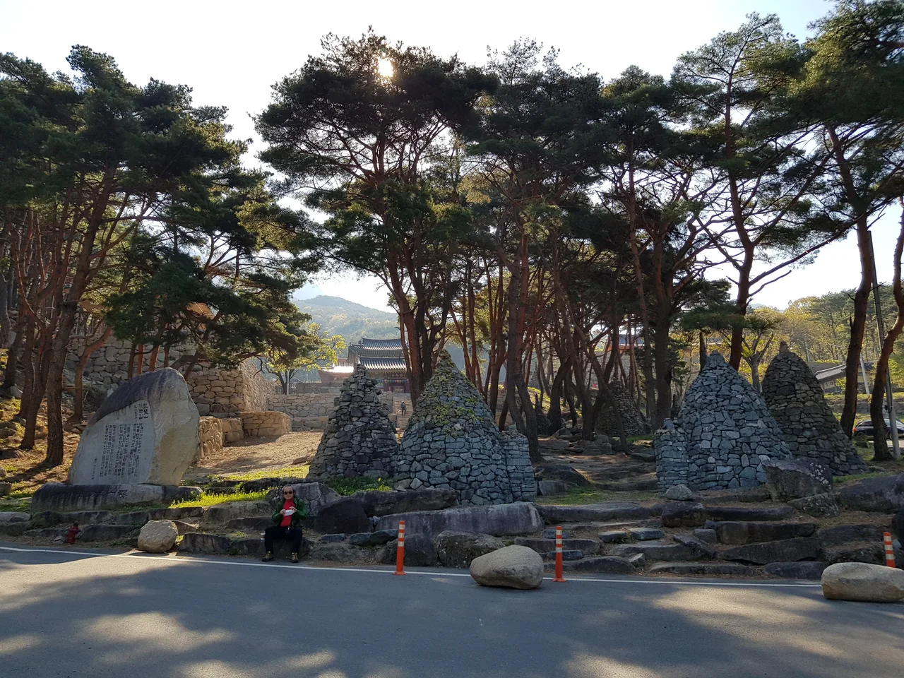 2020년 아쉬운 비슬산 참꽃. 유가사=>천왕봉=>참꽃군락지=>유가사 코스 작업 사진 3