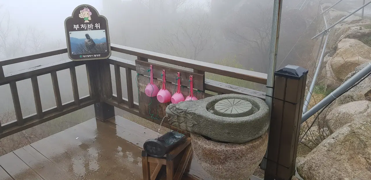 (5점) 대구 비슬산 참꽃. 비슬산자연휴양림 공영주차장->대견사 코스. 작업 사진 43