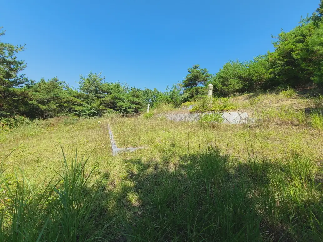 (벌초 대행) 영천시 고경면, 대창면, 북안면, 신녕면, 임고면, 청통면, 화남면, 화북면, 화산면 벌초 후기. 가격. 작업 사진 53