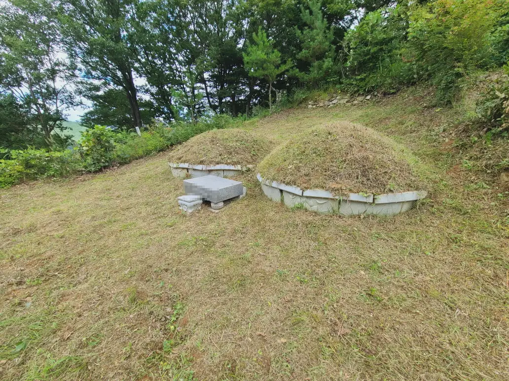 대구 달성군 가창면 벌초 대행 후기. 땅벌에게 30방 이상 쏘임 후기. 작업 사진 5