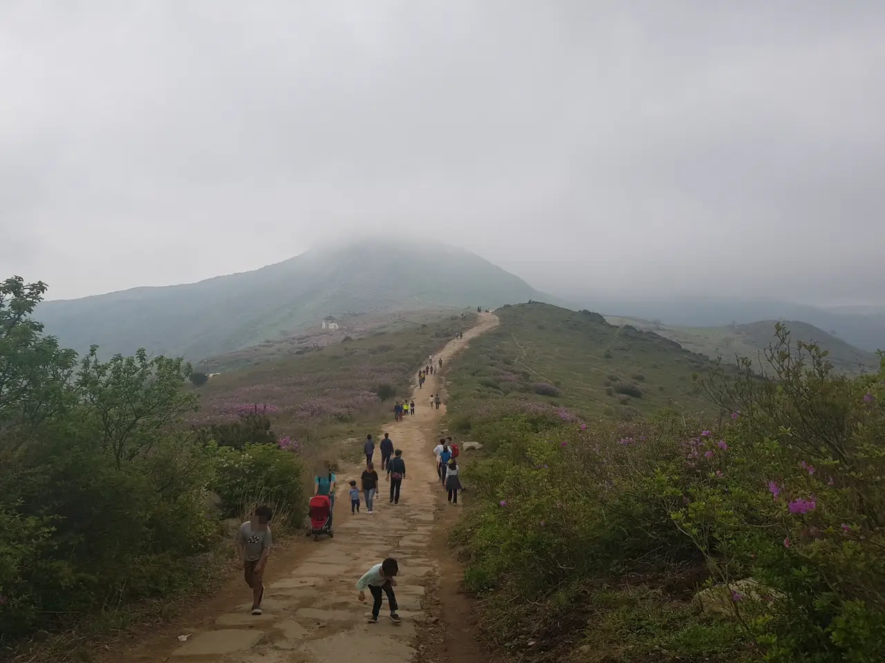 (5점) 5월 놓치면 안 되는 봄꽃 여행지 경남 합천 '황매산 철쭉' 작업 사진 28