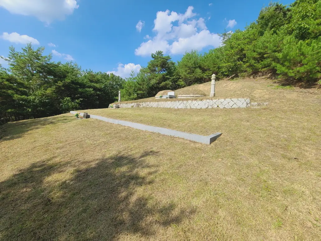 (벌초 대행) 영천시 고경면, 대창면, 북안면, 신녕면, 임고면, 청통면, 화남면, 화북면, 화산면 벌초 후기. 가격. 작업 사진 54