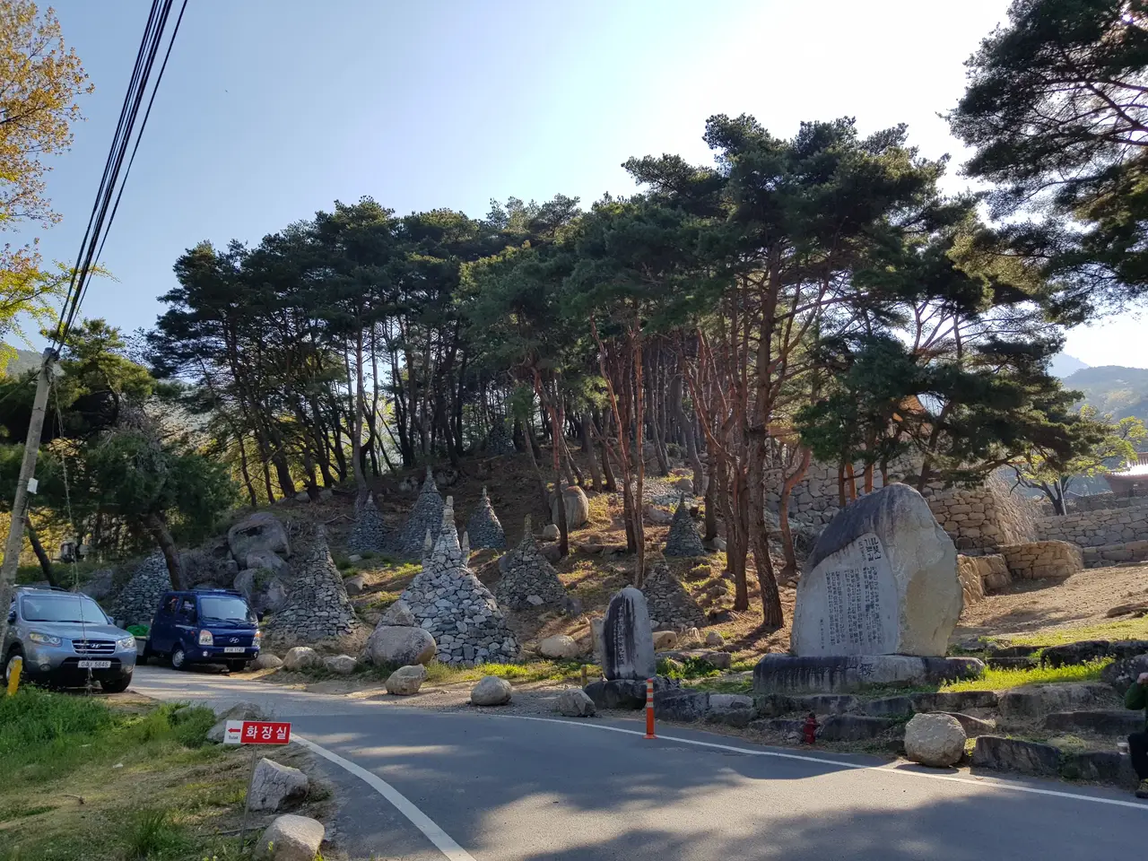 2020년 아쉬운 비슬산 참꽃. 유가사=>천왕봉=>참꽃군락지=>유가사 코스 작업 사진 4