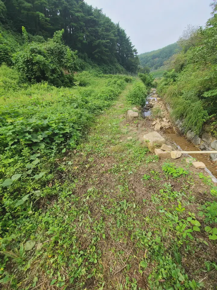 칠곡군 가산면 벌초 대행 다녀왔습니다. 작업 사진 3