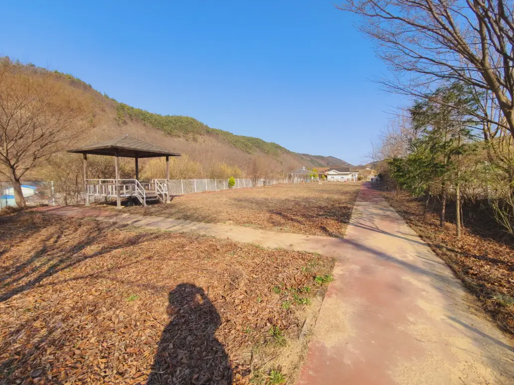 (텃밭 제초 작업) 대구 군위군 부계면 제초 작업 후기. 제초(예초) 작업 가격. 작업 사진 5