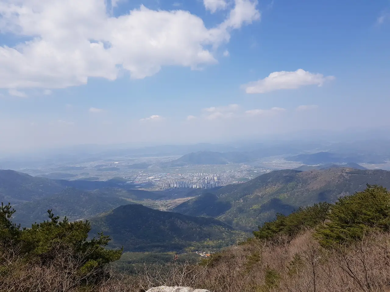 2020년 아쉬운 비슬산 참꽃. 유가사=>천왕봉=>참꽃군락지=>유가사 코스 작업 사진 23