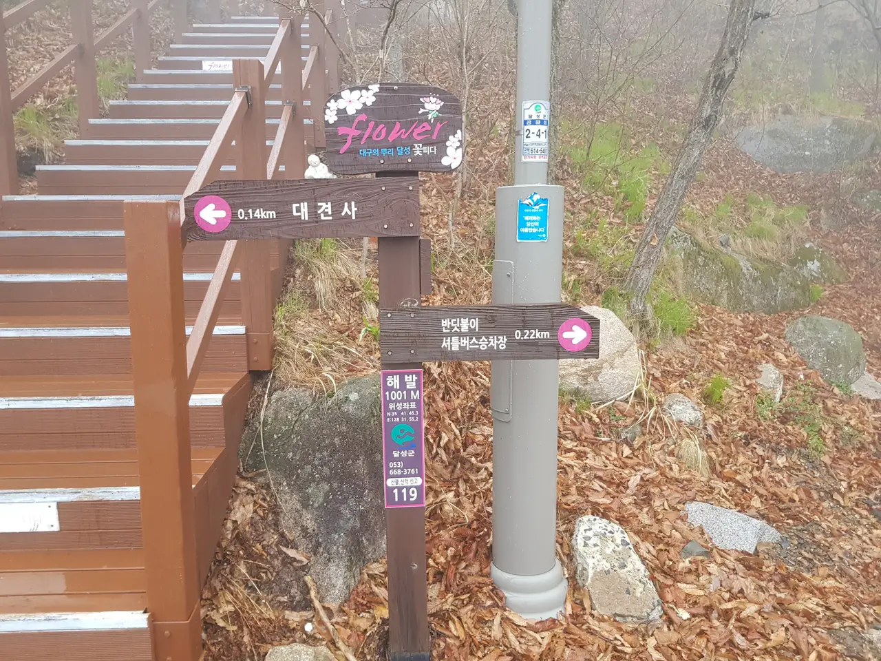 (5점) 대구 비슬산 참꽃. 비슬산자연휴양림 공영주차장->대견사 코스. 작업 사진 27