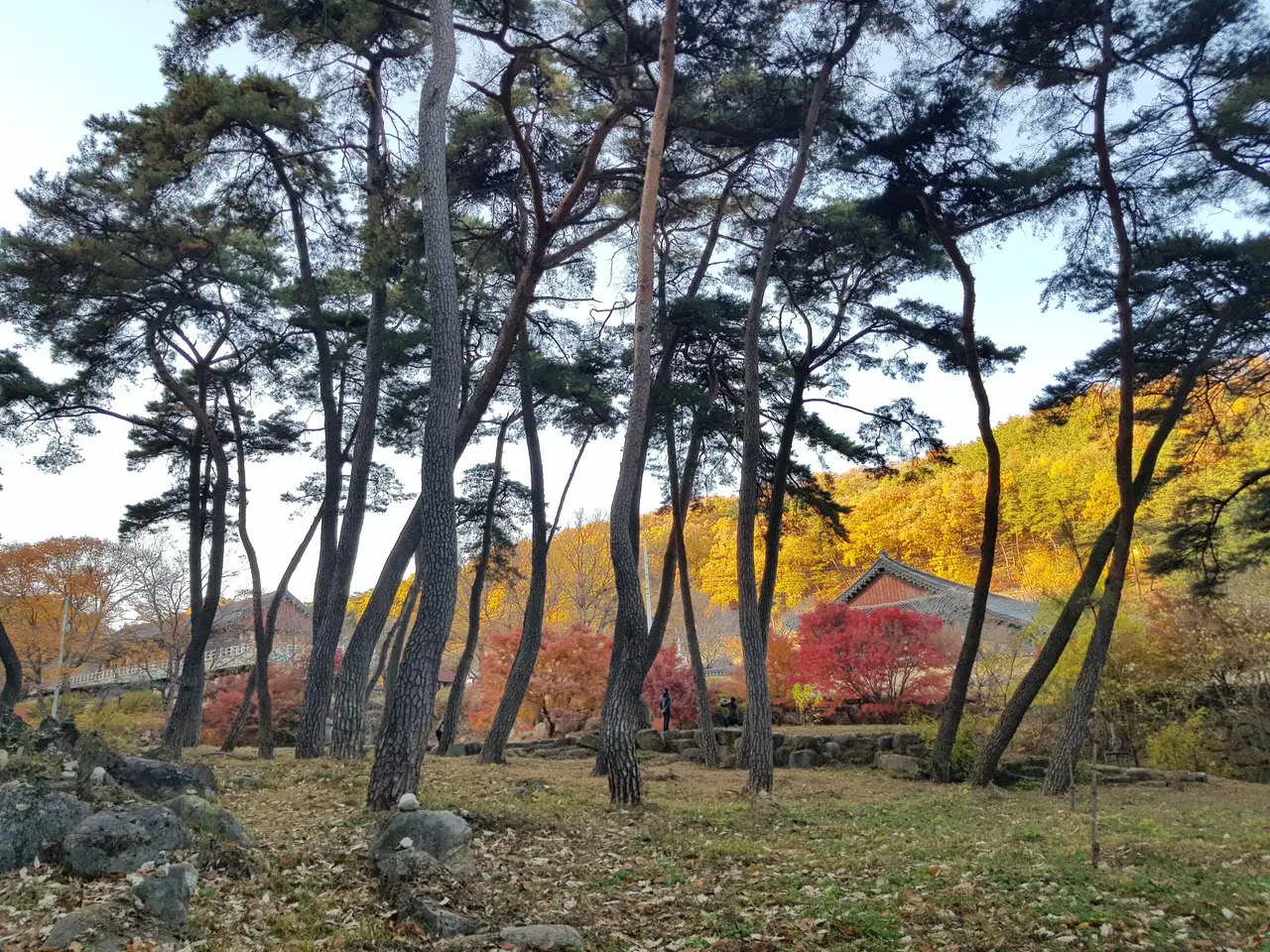 (4점) 영천시 청통면 팔공산 자락 천년고찰. '은해사' 걷기 좋은 곳. 작업 사진 6