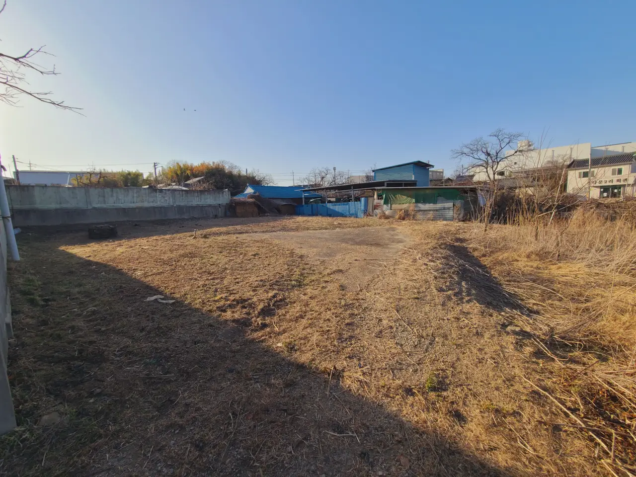 (제초 작업) 경산시 진량읍 주택터 제초 및 제초제 작업 후기. 작업 사진 4