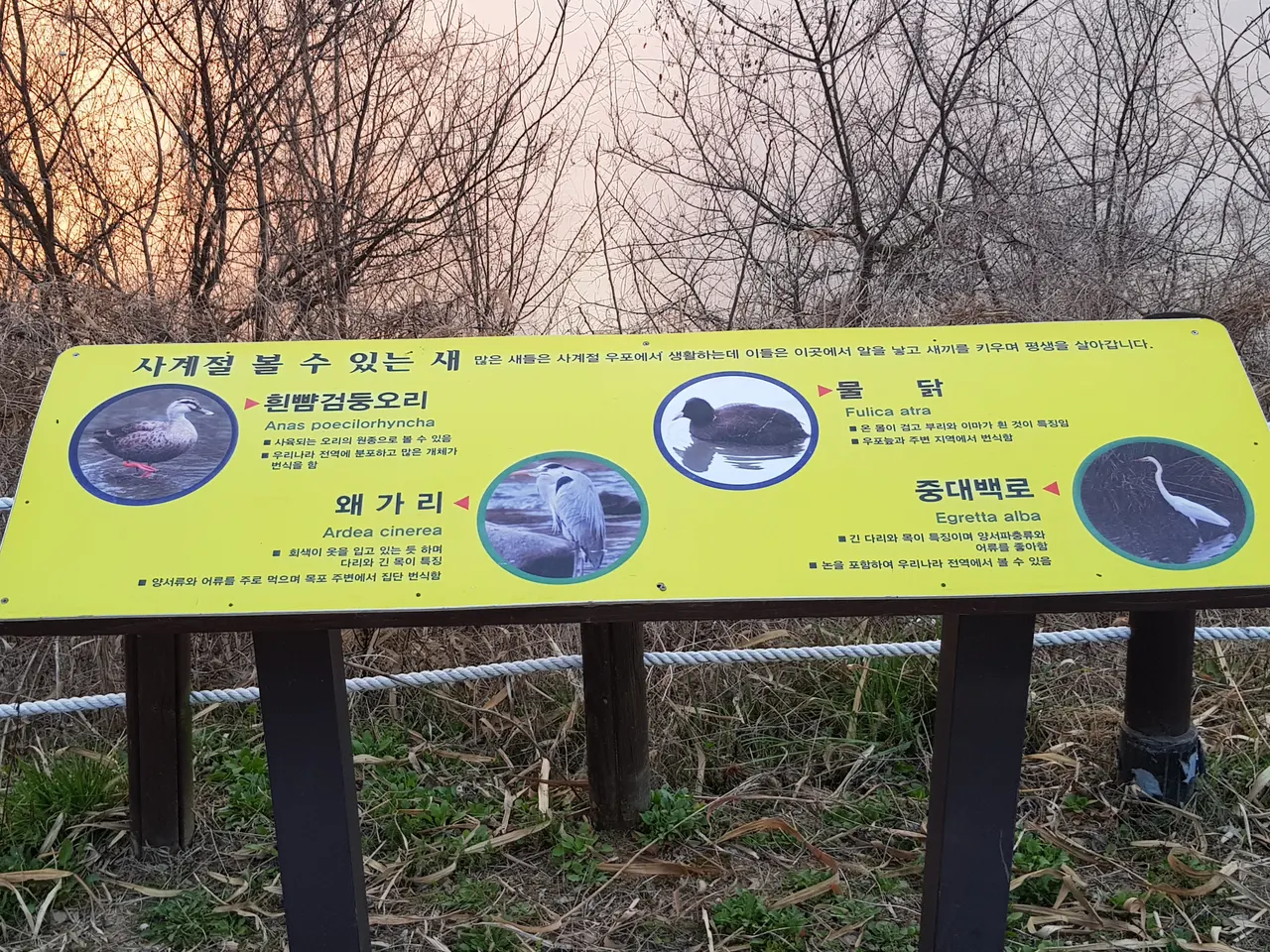 (4점) 창녕 우포늪에 떨어지는 해를 보러 가다 작업 사진 5