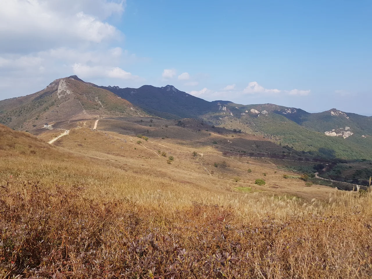 (5점) 경남 합천 황매산 억새 군락지. 가을철 여행가기 좋은 곳. 작업 사진 19