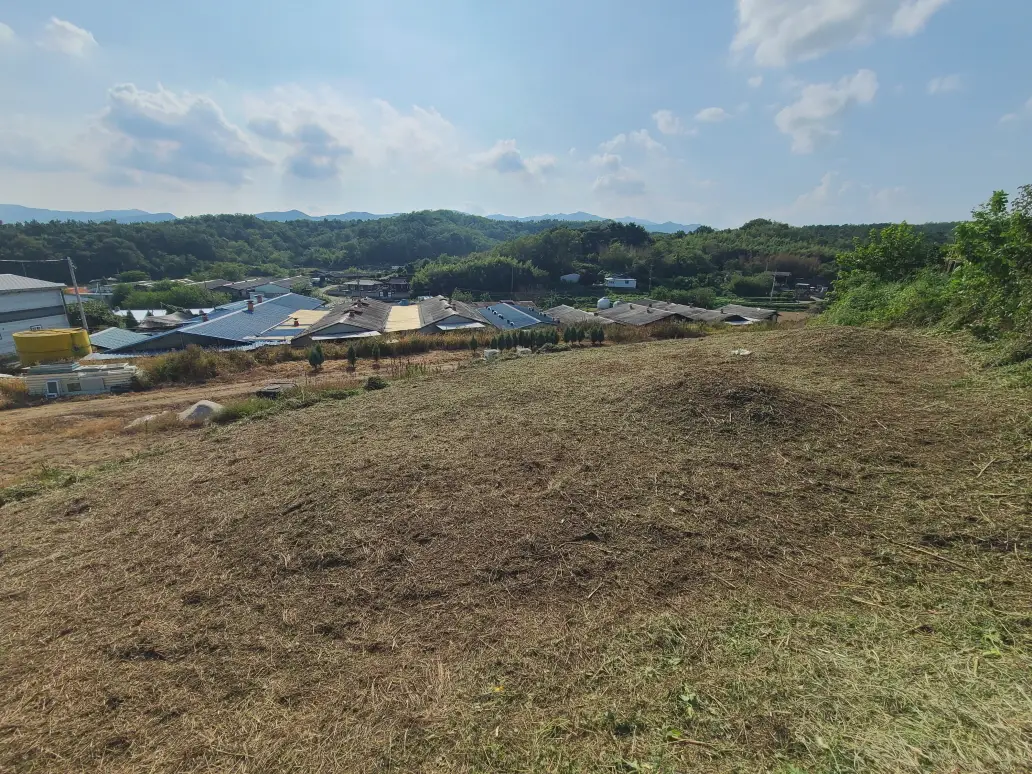 (벌초 대행) 영천시 고경면, 대창면, 북안면, 신녕면, 임고면, 청통면, 화남면, 화북면, 화산면 벌초 후기. 가격. 작업 사진 58