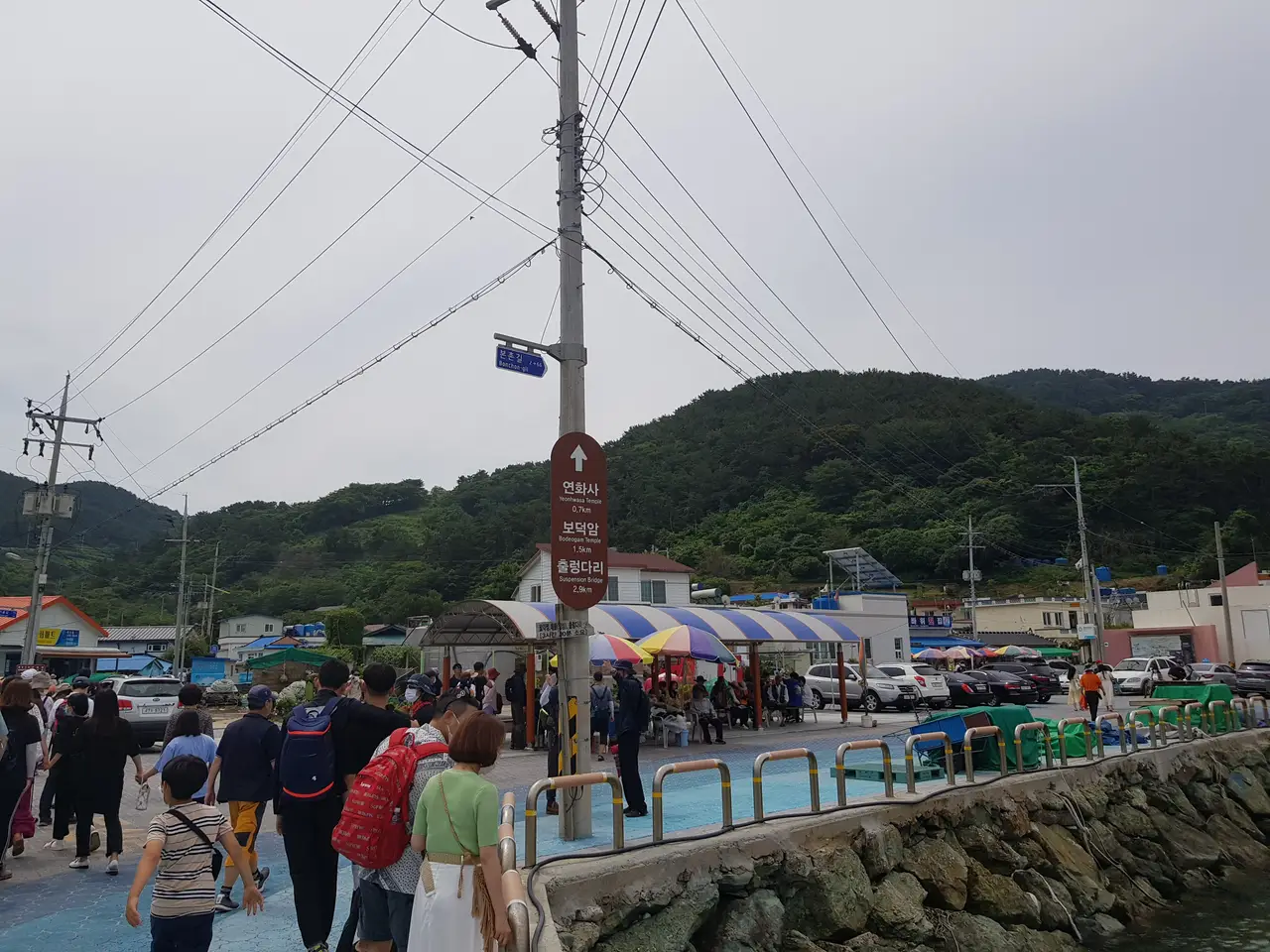 (5점) 6월 말~7월 초 경남 통영 추천 여행지. '연화도 수국 꽃 여행' 작업 사진 22