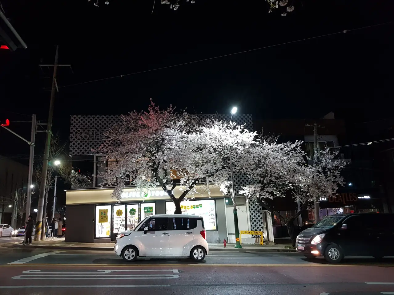 (4점) 이월드 벚꽃 대신하여 다녀온 앞산 벚꽃 로드 (만족!) 작업 사진 13