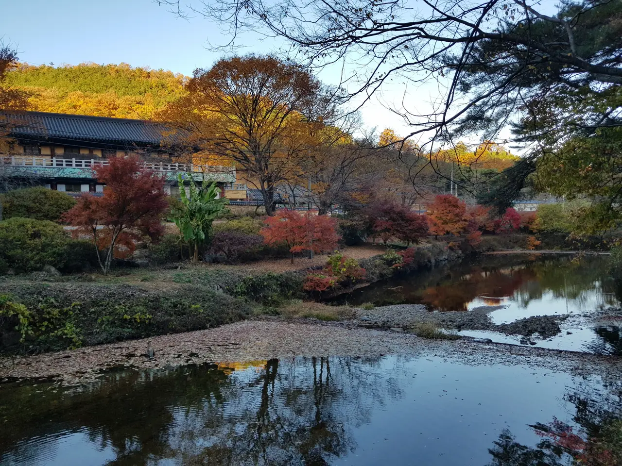 (4점) 영천시 청통면 팔공산 자락 천년고찰. '은해사' 걷기 좋은 곳. 작업 사진 7