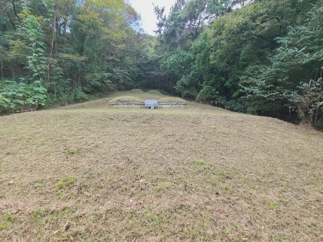 (벌초 대행) 영천시 고경면, 대창면, 북안면, 신녕면, 임고면, 청통면, 화남면, 화북면, 화산면 벌초 후기. 가격. 작업 사진 40