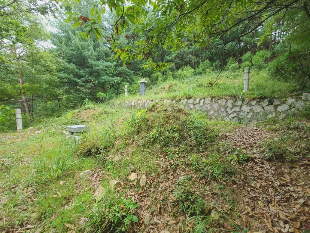 대구 동구 1곳, 수성구 2곳 벌초 대행 다녀왔습니다. 작업 사진 10