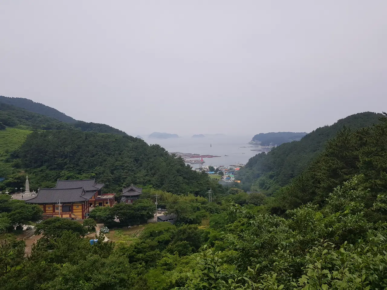 (5점) 6월 말~7월 초 경남 통영 추천 여행지. '연화도 수국 꽃 여행' 작업 사진 40