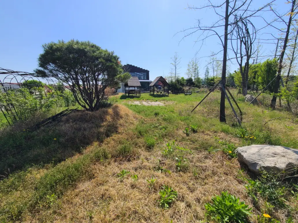 영천 제초(벌초). 작산동 정원 관리. 작업 사진 7