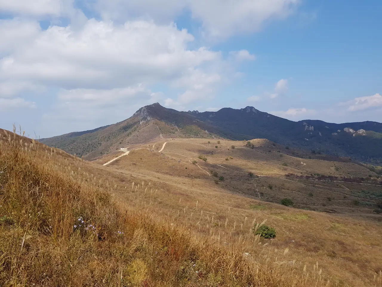 (5점) 경남 합천 황매산 억새 군락지. 가을철 여행가기 좋은 곳. 작업 사진 21