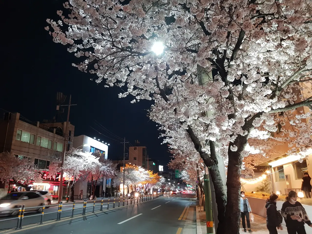 (4점) 이월드 벚꽃 대신하여 다녀온 앞산 벚꽃 로드 (만족!) 작업 사진 14