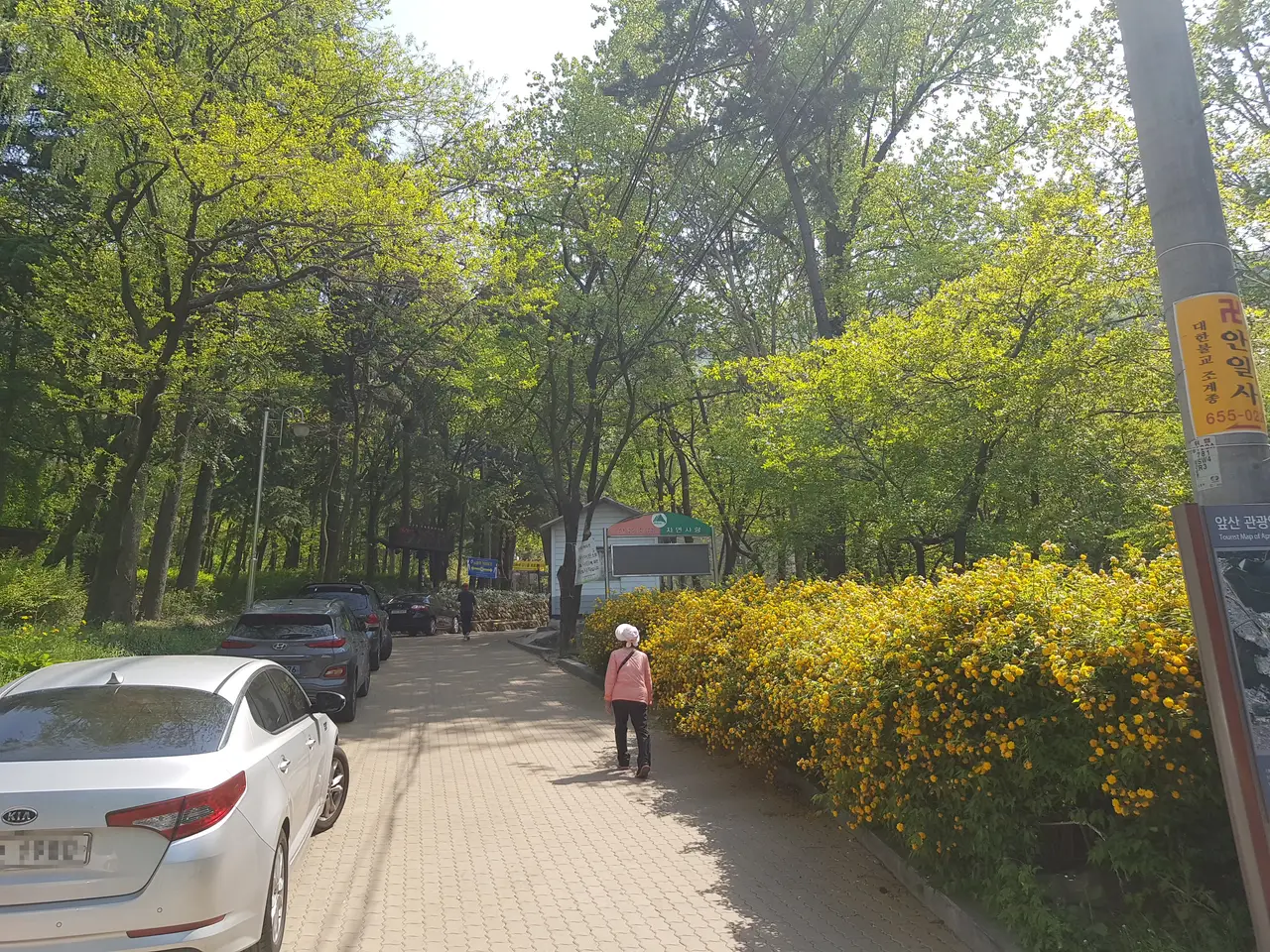 (앞산 등산 다이어트 1일차) 시작은 90kg입니다. 작업 사진 2