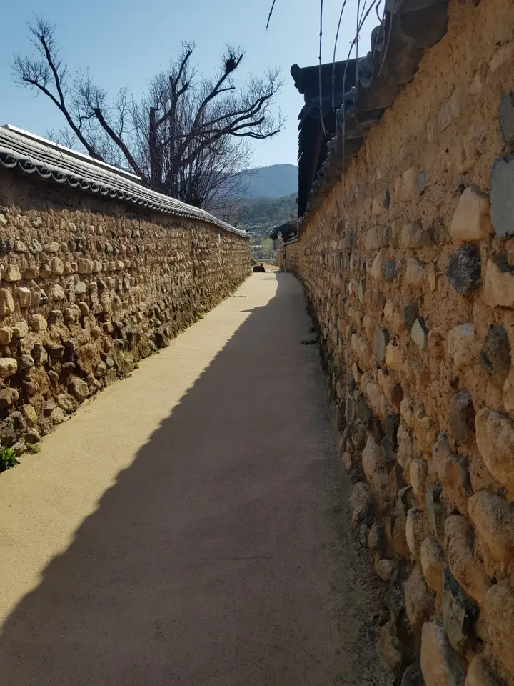 <3월 대구여행> 달성군 화원읍  홍매화가 이쁜 '남평 문씨 본리 세거지' 작업 사진 4