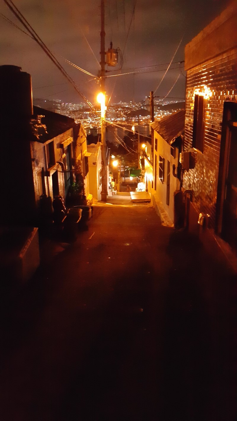 <부산 영도구 봉래산> 부산 야경 이쁜 곳 작업 사진 7