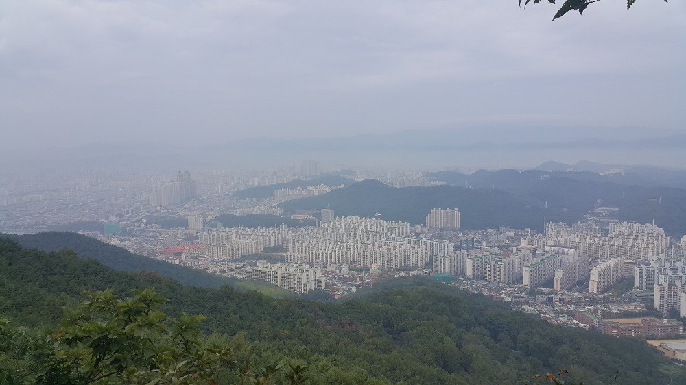 <대구 수성구 수성못 등산코스> 수성유원지 뒷쪽 등산코스 작업 사진 6