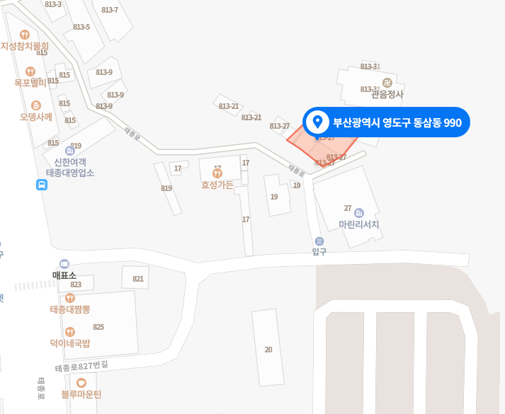 부산 영도구 태종대 태종사 수국여행. 국내 최대 수국 군락지(?). 태종대 수국 포토존. 태종대 분홍집. 작업 사진 15