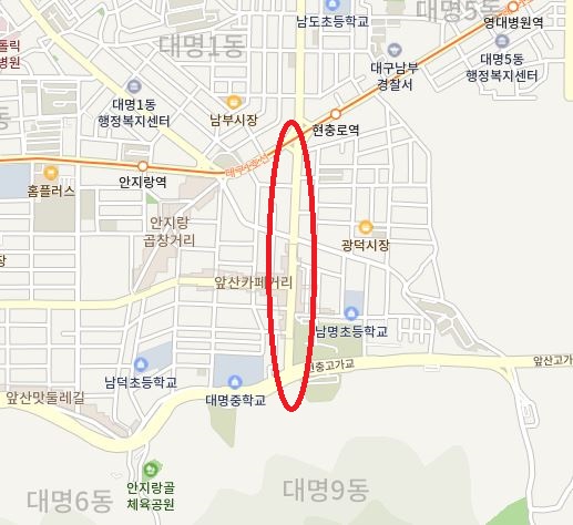 (4점) 이월드 벚꽃 대신하여 다녀온 앞산 벚꽃 로드 (만족!) 작업 사진 2