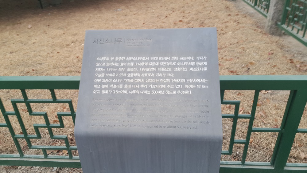 <경북 청도 "운문사"> 편안한 마음이 들게 하는 고찰 작업 사진 5