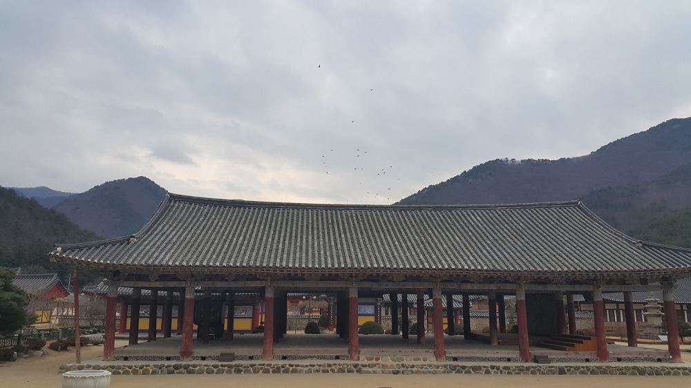 <경북 청도 "운문사"> 편안한 마음이 들게 하는 고찰 작업 사진 9