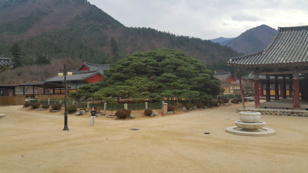 <경북 청도 "운문사"> 편안한 마음이 들게 하는 고찰 작업 사진 4
