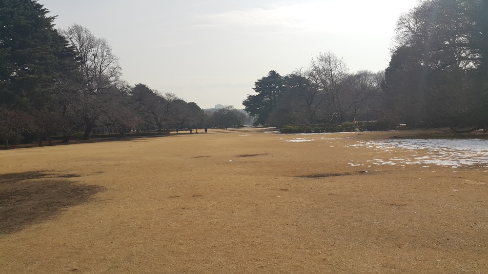 <도쿄 신주쿠 교엔> 도쿄 안의 국립공원 작업 사진 4