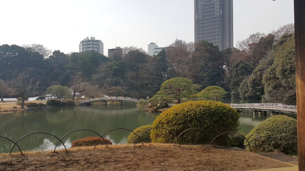 <도쿄 신주쿠 교엔> 도쿄 안의 국립공원 작업 사진 5