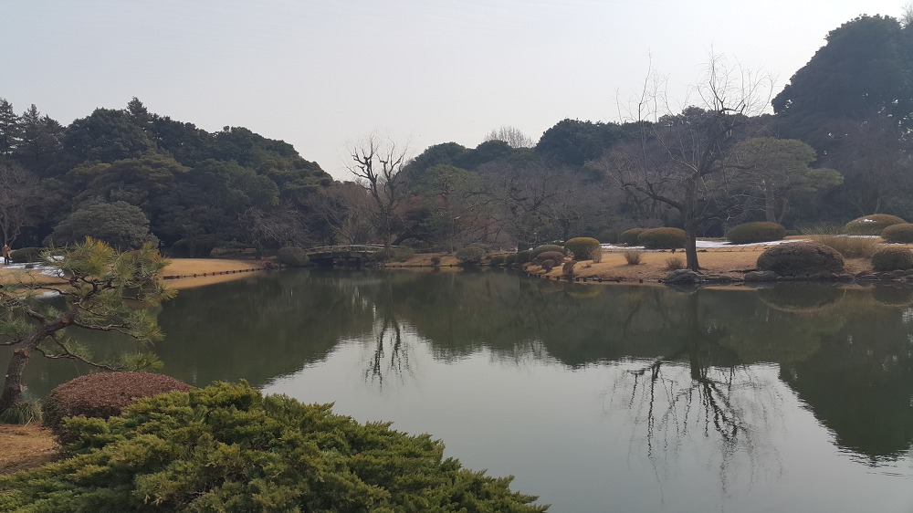 <도쿄 신주쿠 교엔> 도쿄 안의 국립공원 작업 사진 10
