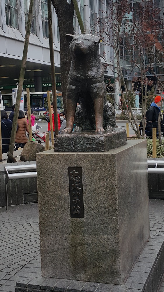 <도쿄 시부야, 롯본기 힐즈> 시부야와 롯본기 힐즈 전망대에서 바라본 전경 작업 사진 3