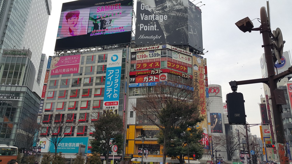 <도쿄 시부야, 롯본기 힐즈> 시부야와 롯본기 힐즈 전망대에서 바라본 전경 작업 사진 5