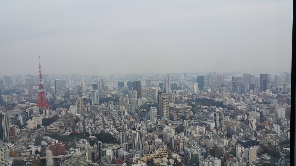 <도쿄 시부야, 롯본기 힐즈> 시부야와 롯본기 힐즈 전망대에서 바라본 전경 작업 사진 8
