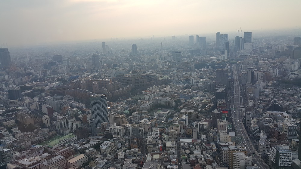<도쿄 시부야, 롯본기 힐즈> 시부야와 롯본기 힐즈 전망대에서 바라본 전경 작업 사진 9