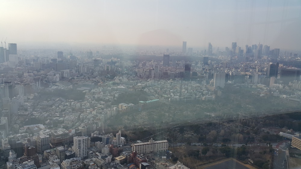 <도쿄 시부야, 롯본기 힐즈> 시부야와 롯본기 힐즈 전망대에서 바라본 전경 작업 사진 10