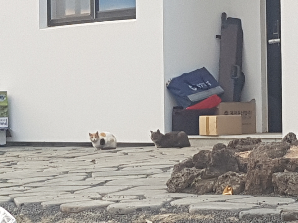 전원주택 대문 구입 후 셀프 설치. 작업 사진 10