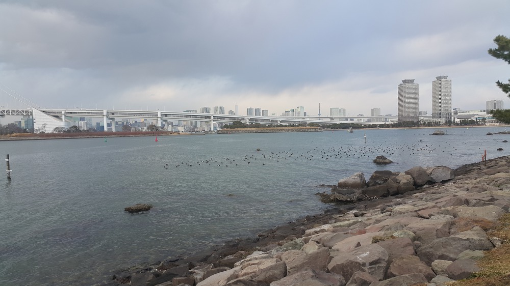 <일본 도쿄 \"오다이바\"> 오다이바의 자유의 여신상과 레인보우 브릿지 작업 사진 4