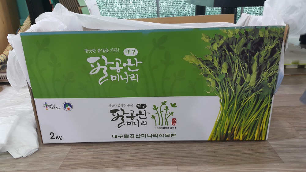 <대구 팔공산 미나리 \"청유농원\"> 미나리 택배 판매 시작! 작업 사진 4