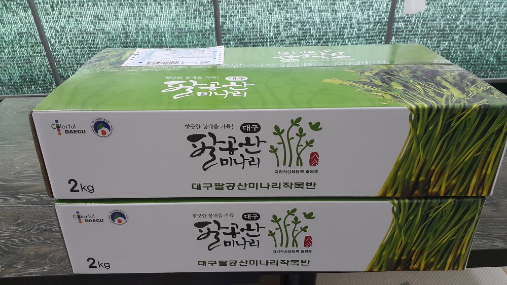<대구 팔공산 미나리 \"청유농원\"> 미나리 택배 판매 시작! 작업 사진 6