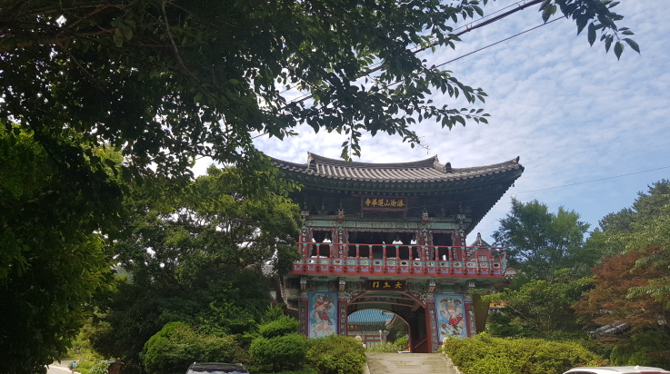 2022년 7월 2일 통영 연화도 수국 여행. 중화항에서 연화도 가기. 작업 사진 13