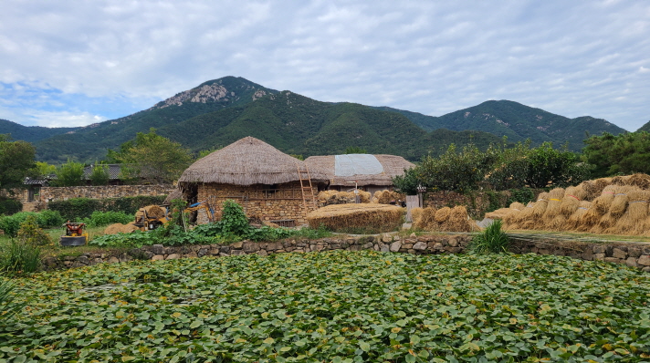 (5점) 전라도 여행. 기대없이 갔다가 엄청 좋았던 낙안읍성. 작업 사진 23
