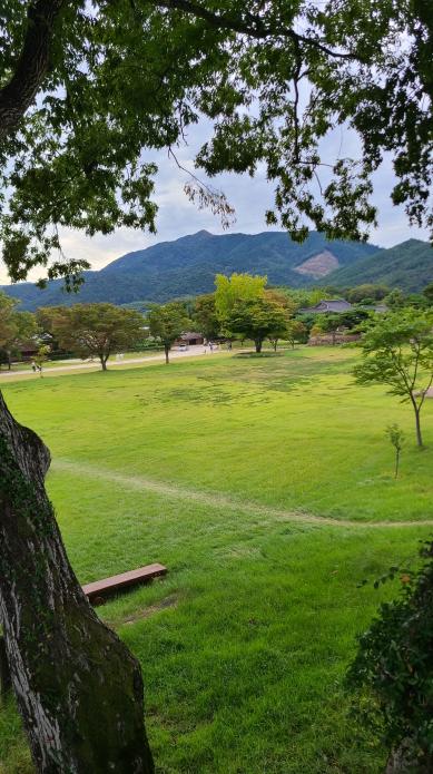 (5점) 전라도 여행. 기대없이 갔다가 엄청 좋았던 낙안읍성. 작업 사진 9
