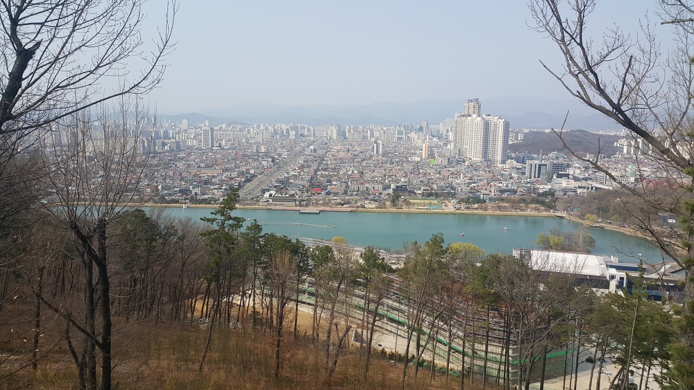 <대구 수성구 파동 \"법이산 사진찍기 좋은 곳\"> 수성못 벚꽃구경과 함께 수성못 뒤 법이산 등산 작업 사진 4